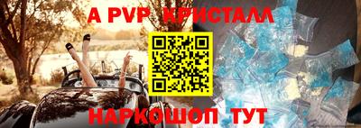 молекула духа Кингисепп