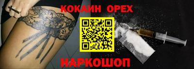 молекула духа Кингисепп