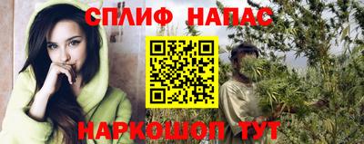 молекула духа Кингисепп