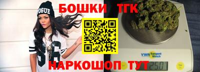 молекула духа Кингисепп