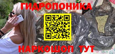 молекула духа Кингисепп