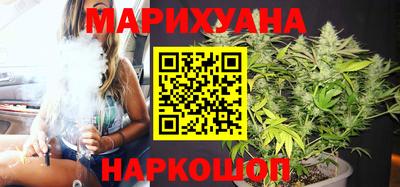 молекула духа Кингисепп