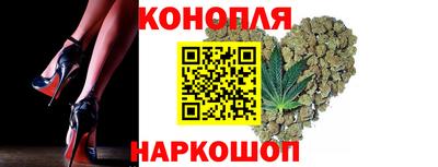 молекула духа Кингисепп