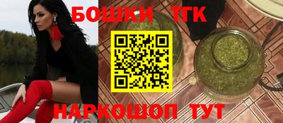 молекула духа Кингисепп