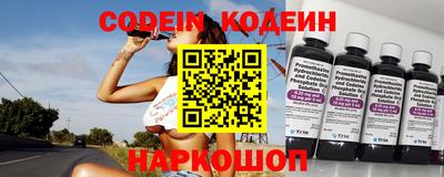 молекула духа Кингисепп
