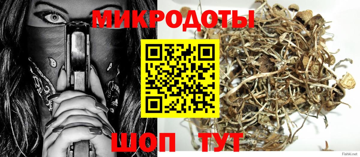 Галлюциногенные грибы Cubensis  Галлюциногенные грибы Psilocybine cubensis  Королёв  Вход с VPN 